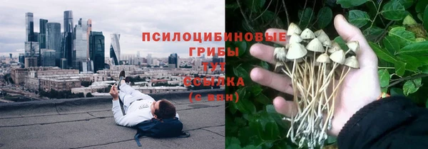гидропоника Нязепетровск